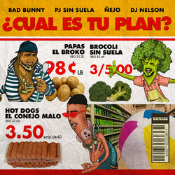 Cover of ¿Cual Es Tu Plan?