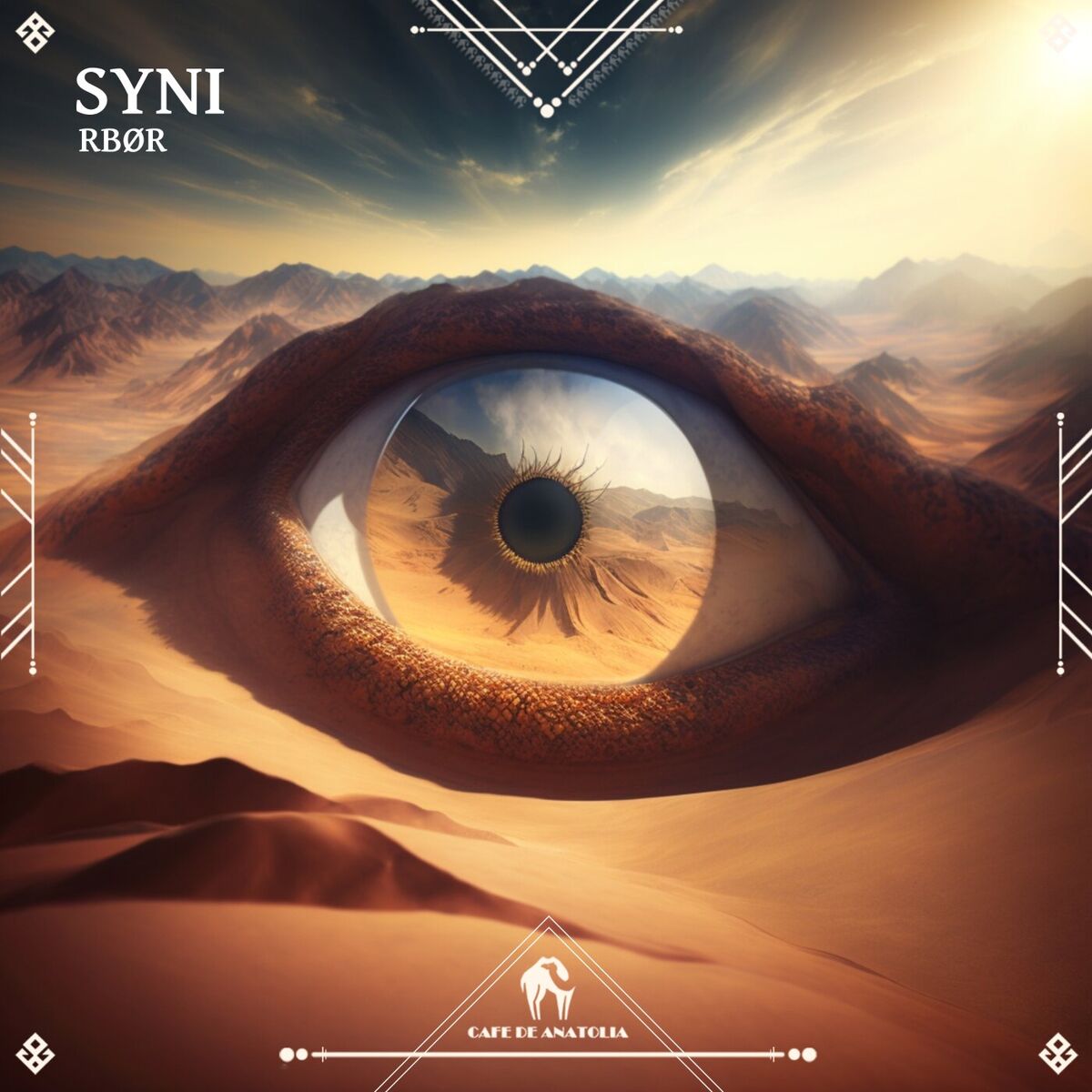 Album cover of Syni