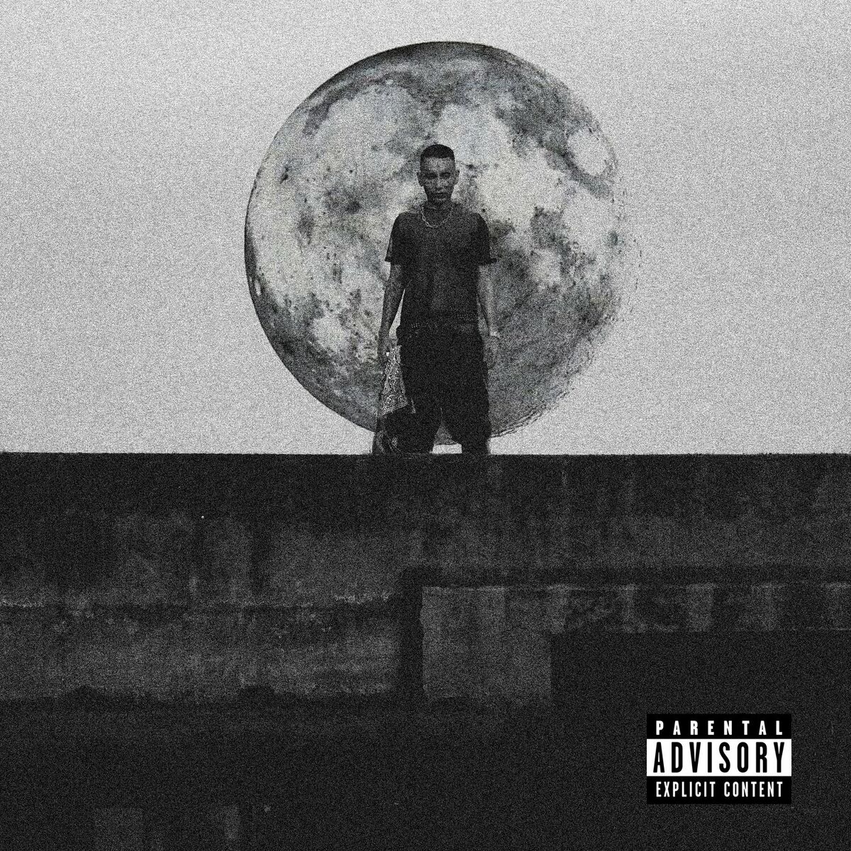 Album cover of LUNA