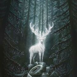 Cover of precious