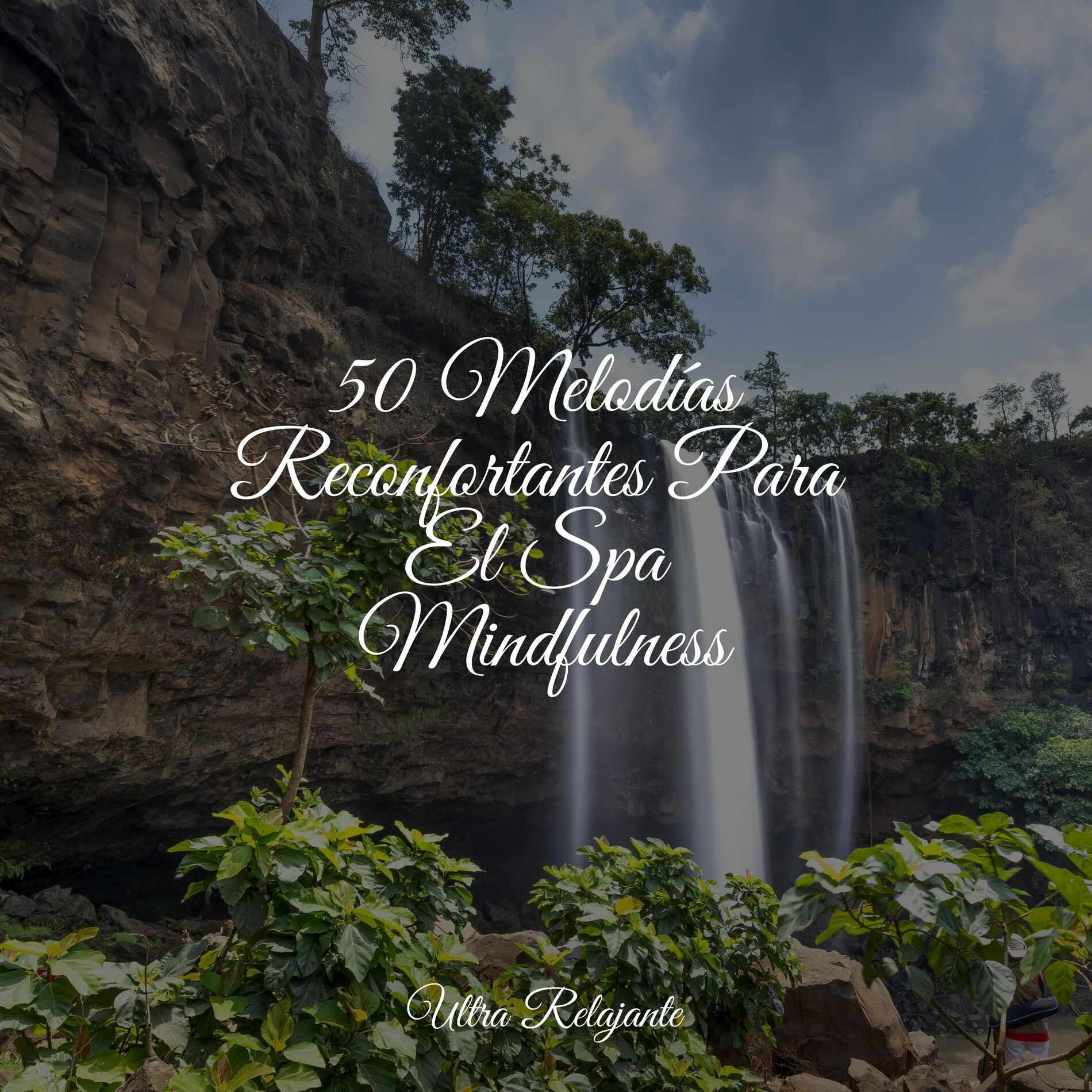Album cover of 50 Melodías Reconfortantes Para El Spa Mindfulness