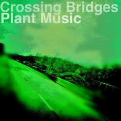 Cover of Plant Music