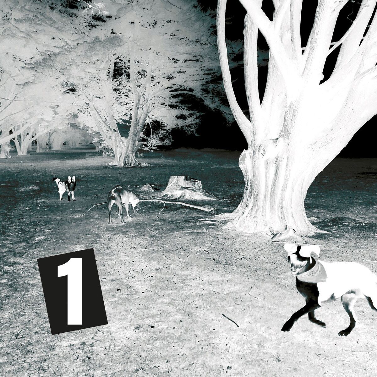 Album cover of Along The Line (Chapter 1)