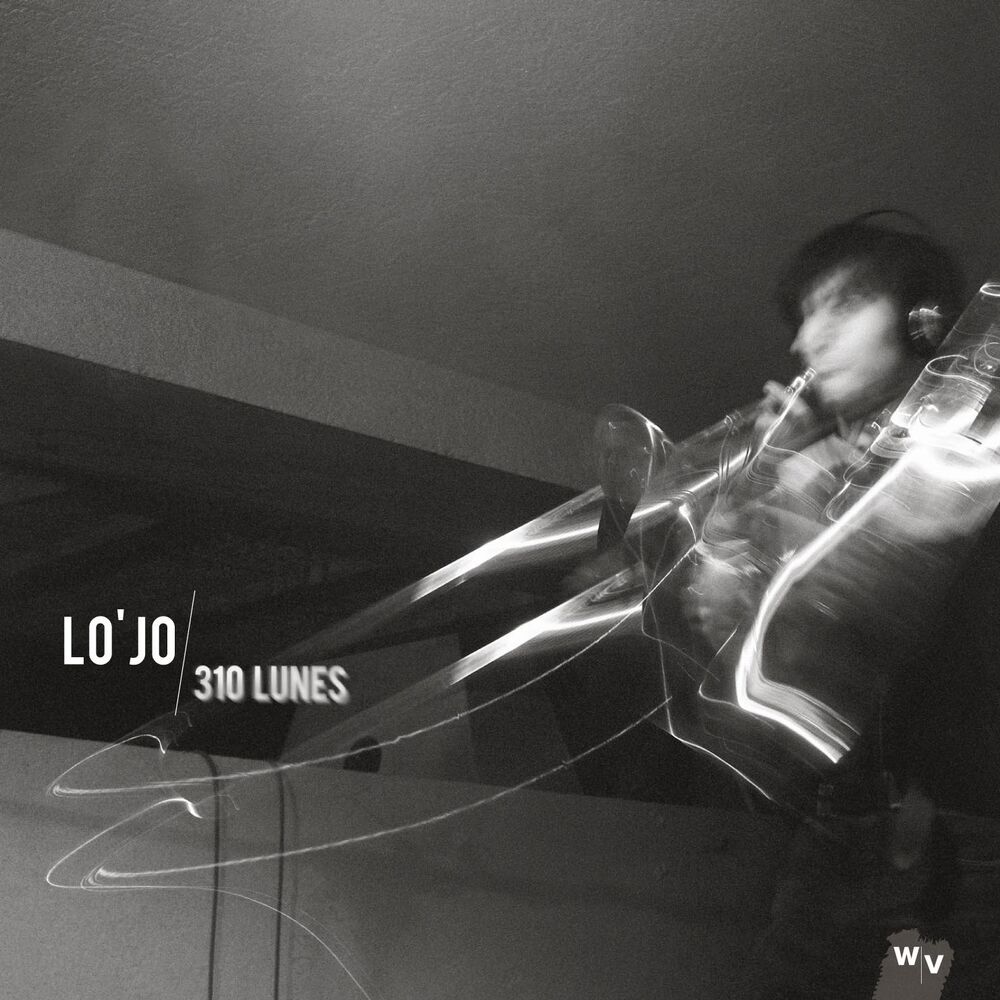 Picture of 310 Lunes, Photographie d'un objet sonore (Bonus Track Version)