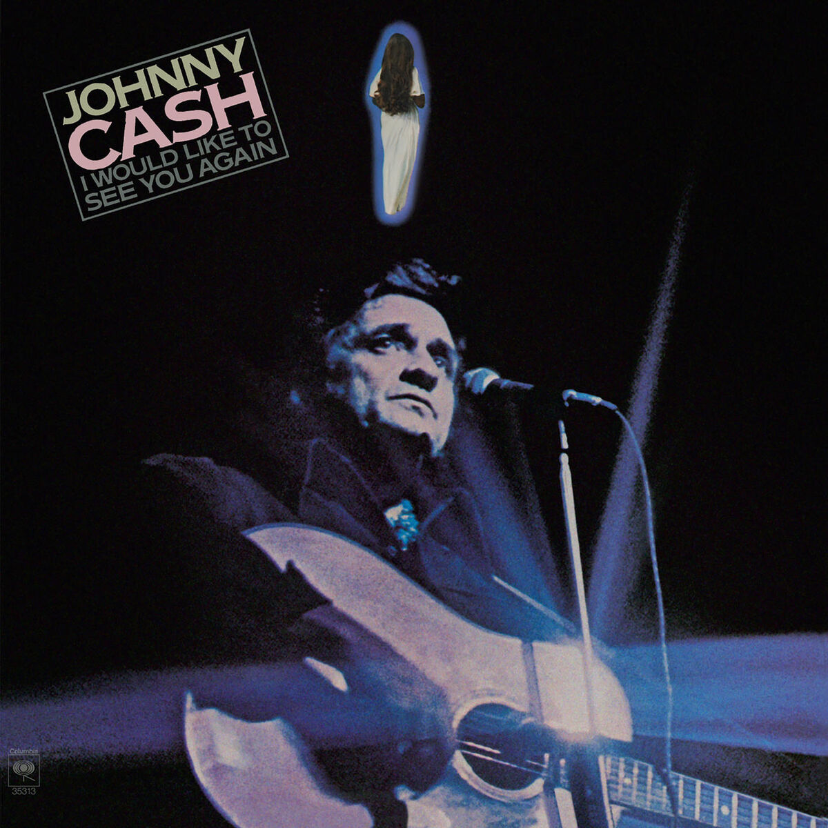 Album cover of I Would Like to See You Again