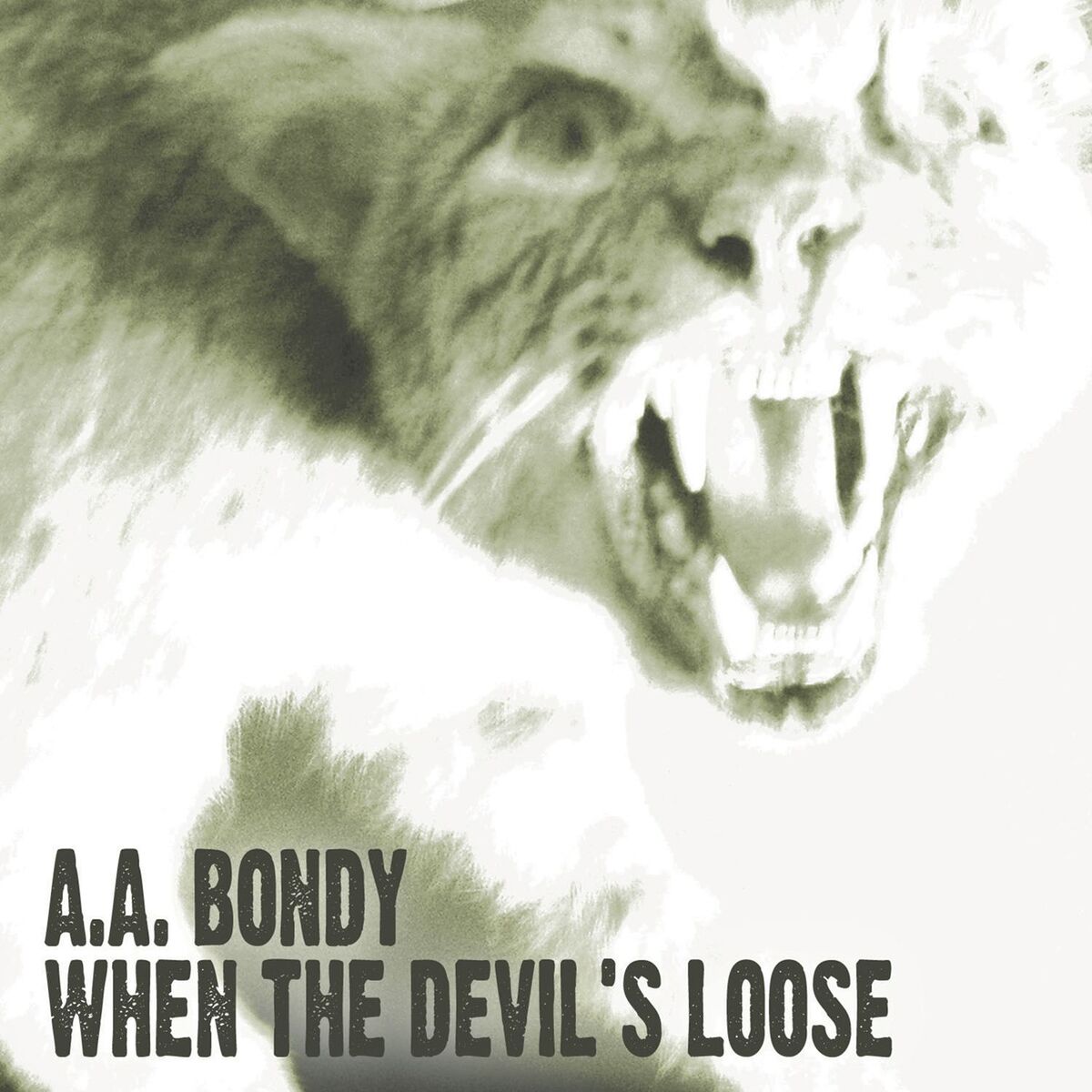 Album cover of When the Devil's Loose