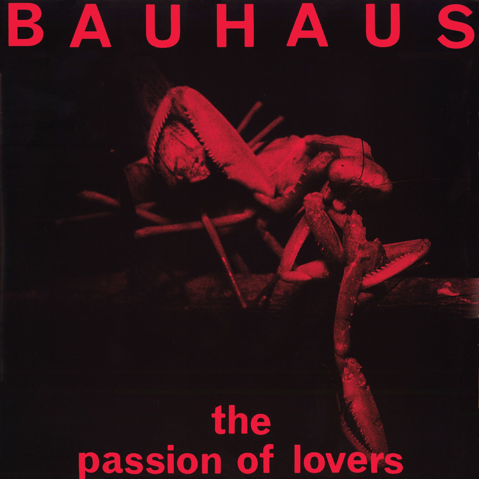 Album cover of 1. David Jay 2. Peter Murphy 3. Kevin Haskins 4. Daniel Ash