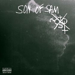 Cover of Son of Sam