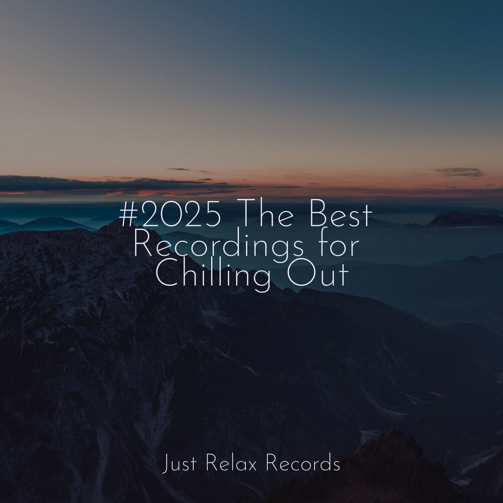 Picture of #2025 The Best Recordings for Chilling Out