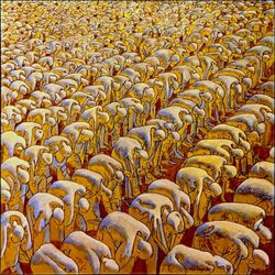Cover of Clone