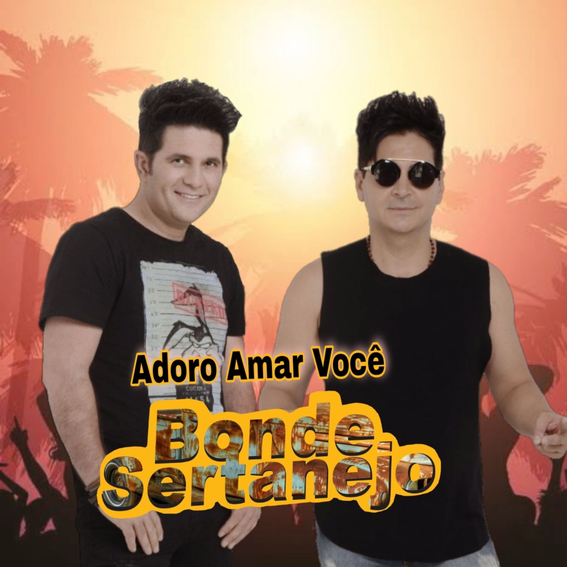 Album cover of Adoro Amar Você