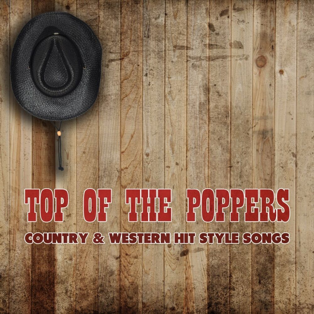 Picture of Country & Western Hit Style Songs