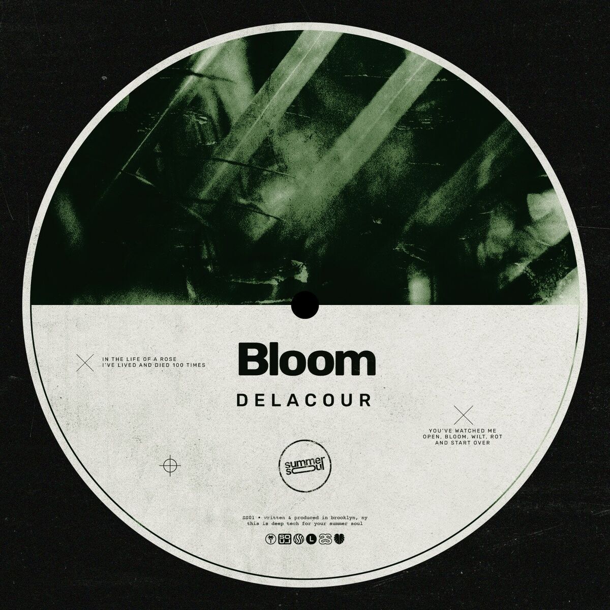 Album cover of Bloom