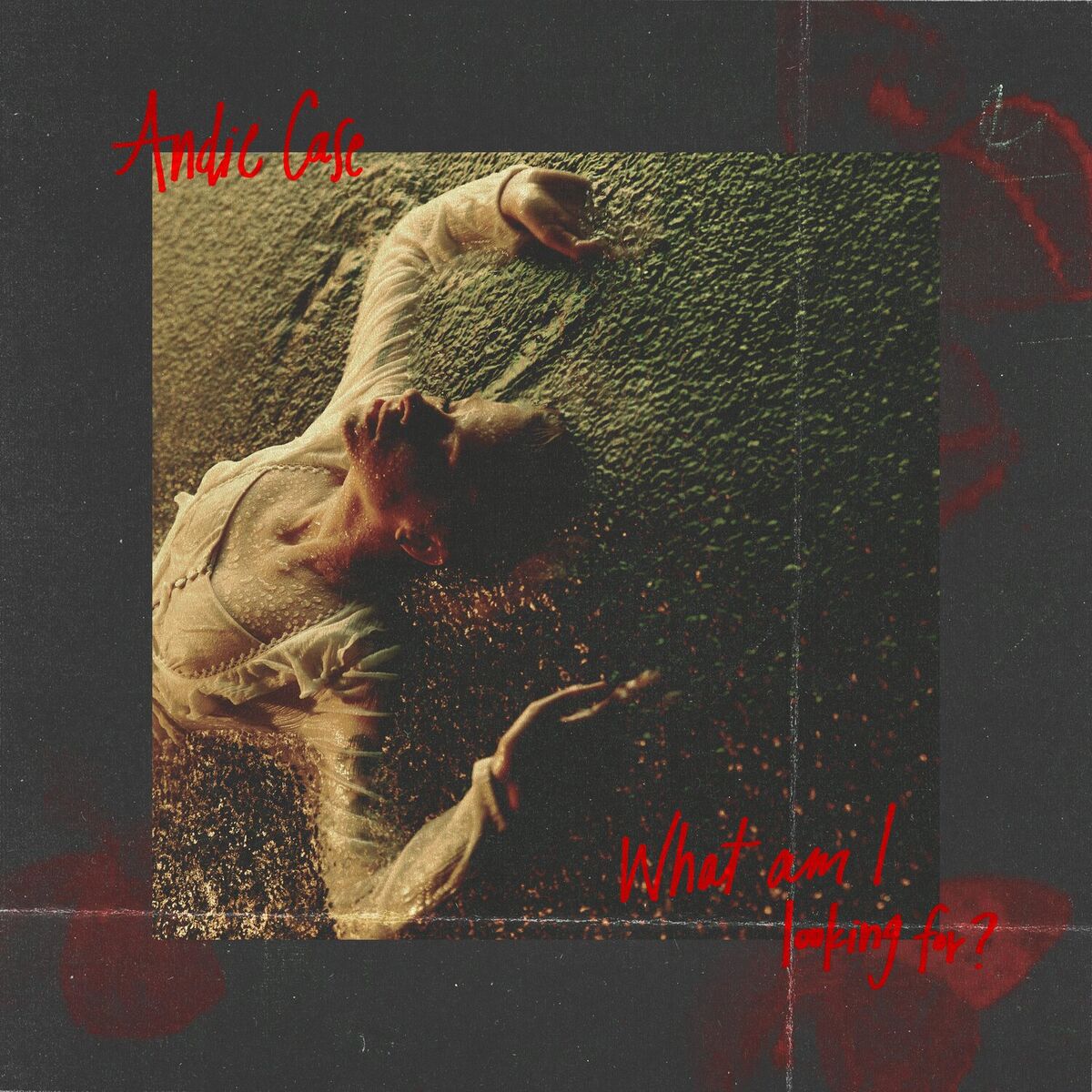 Album cover of What Am I Looking For?