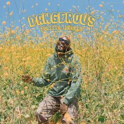 Cover of Dangerous