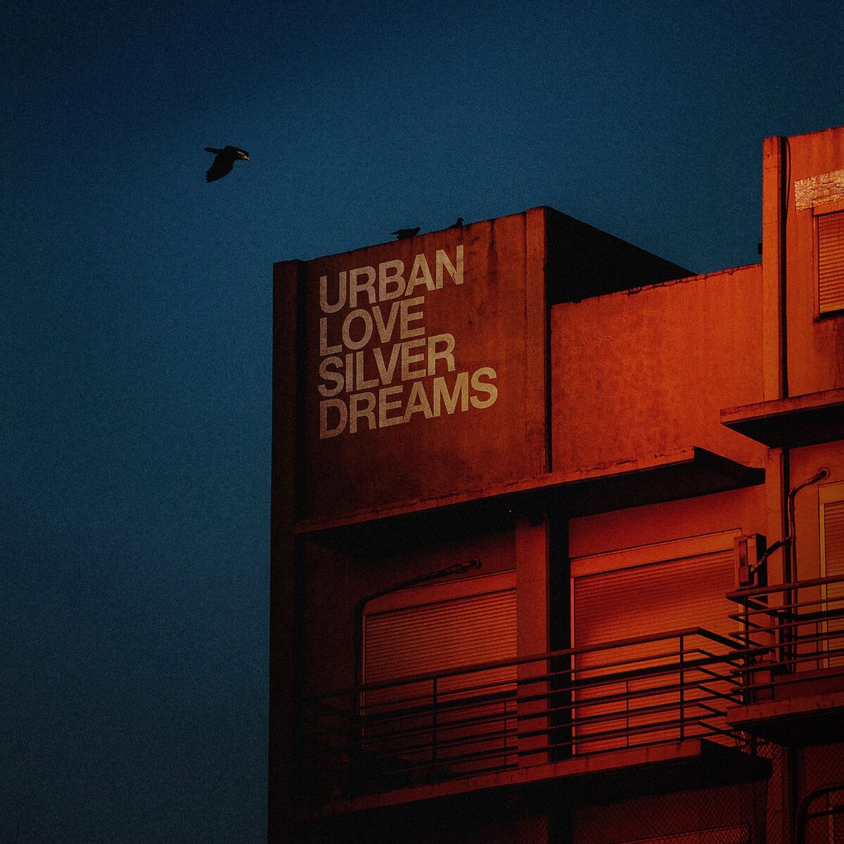 Album cover of Silver Dreams