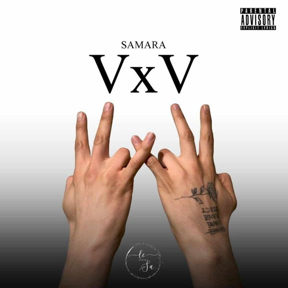 Album cover of VxV (Intro)