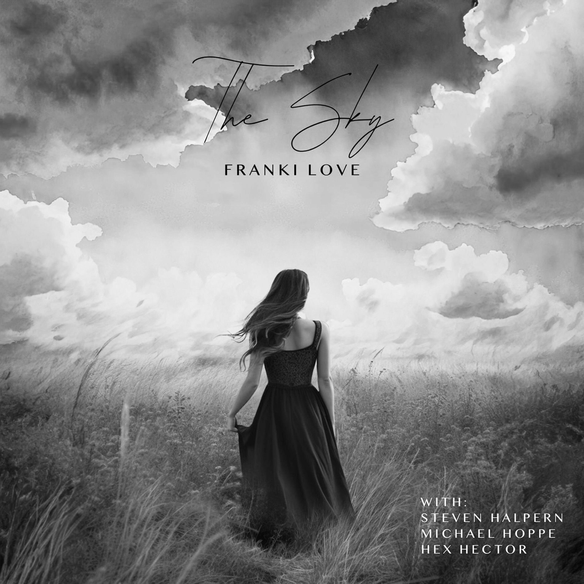 Album cover of The Sky (Instrumental Album)