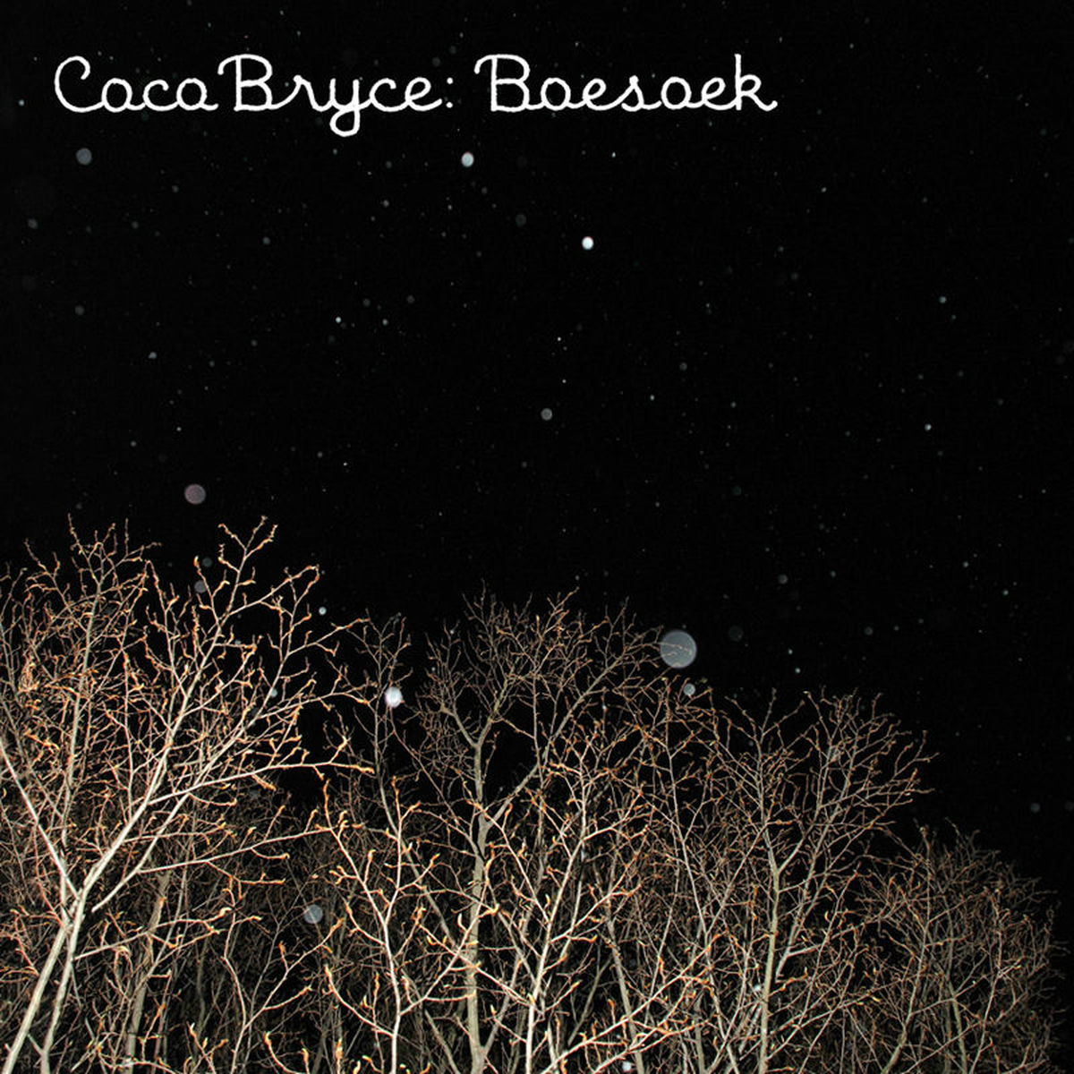Album cover of Boesoek