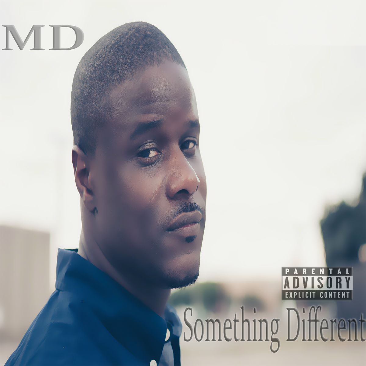 Album cover of Something Different