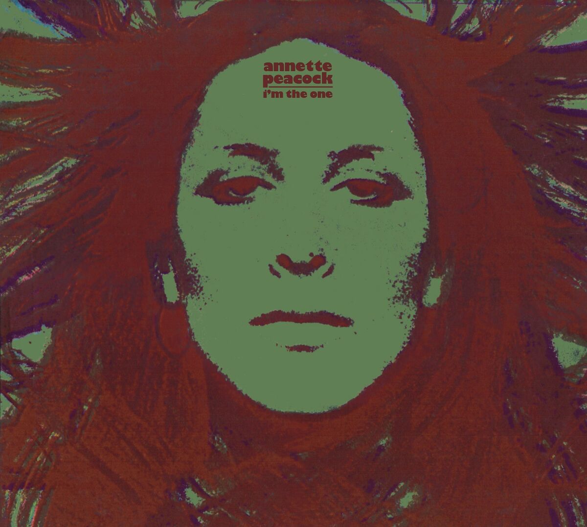 Album cover of Pony