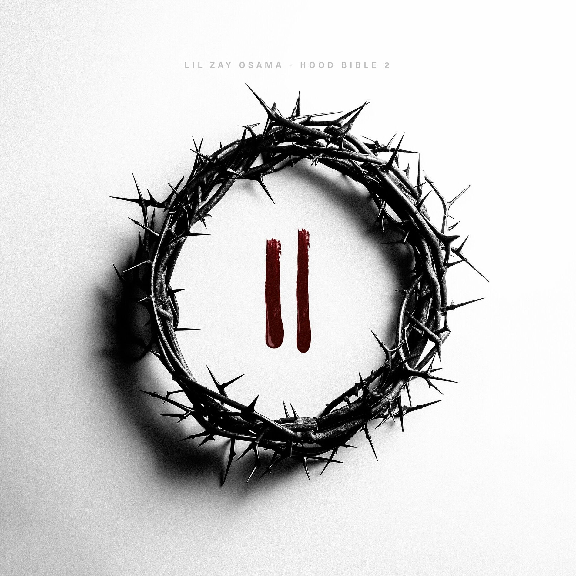 Album cover of Hood Bible 2