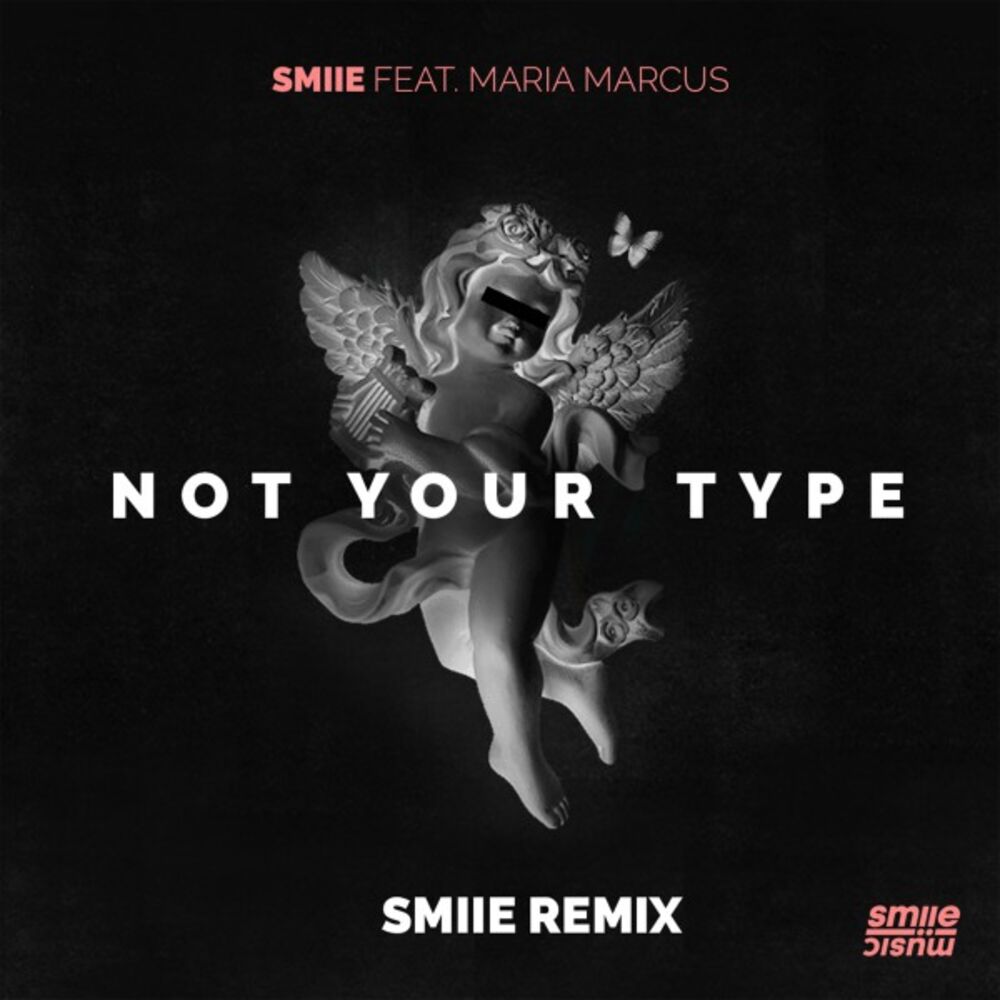 Picture of Not Your Type (smiie Remix)