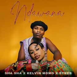 Cover of Ndawana