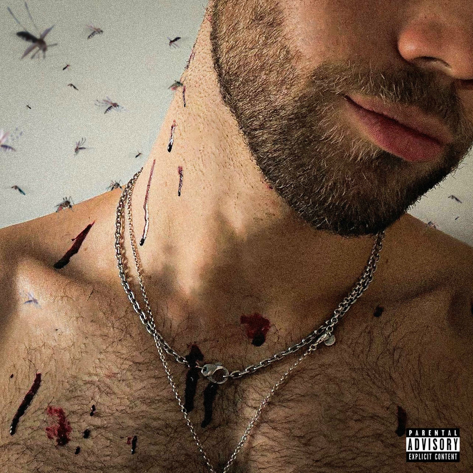 Album cover of MOSQUITOES