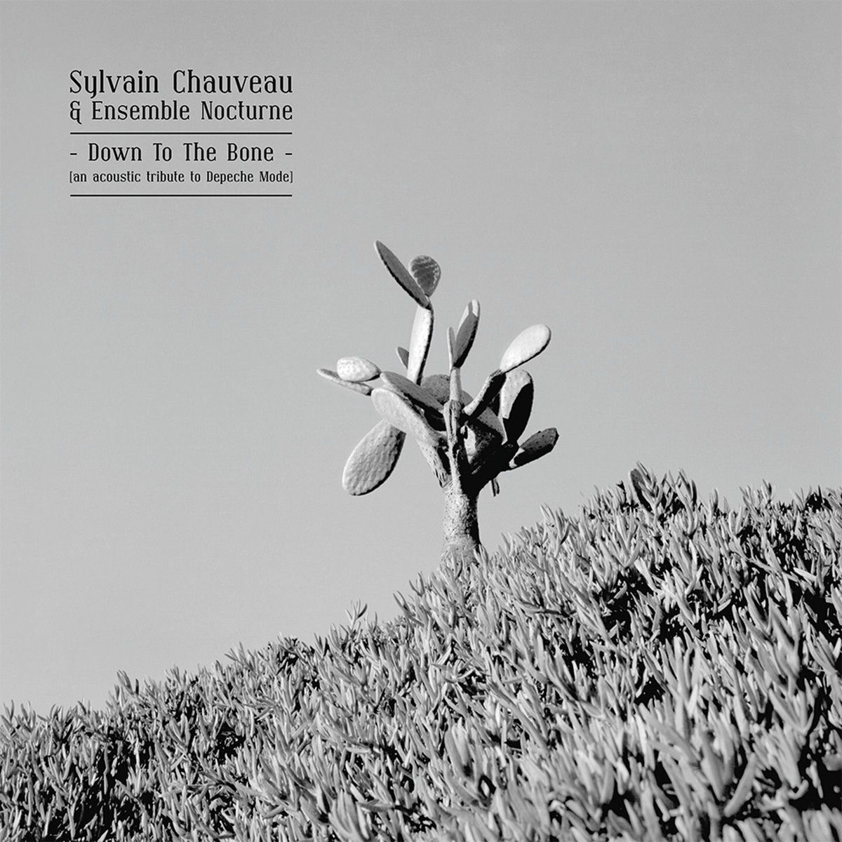 Album cover of The Things You Said
