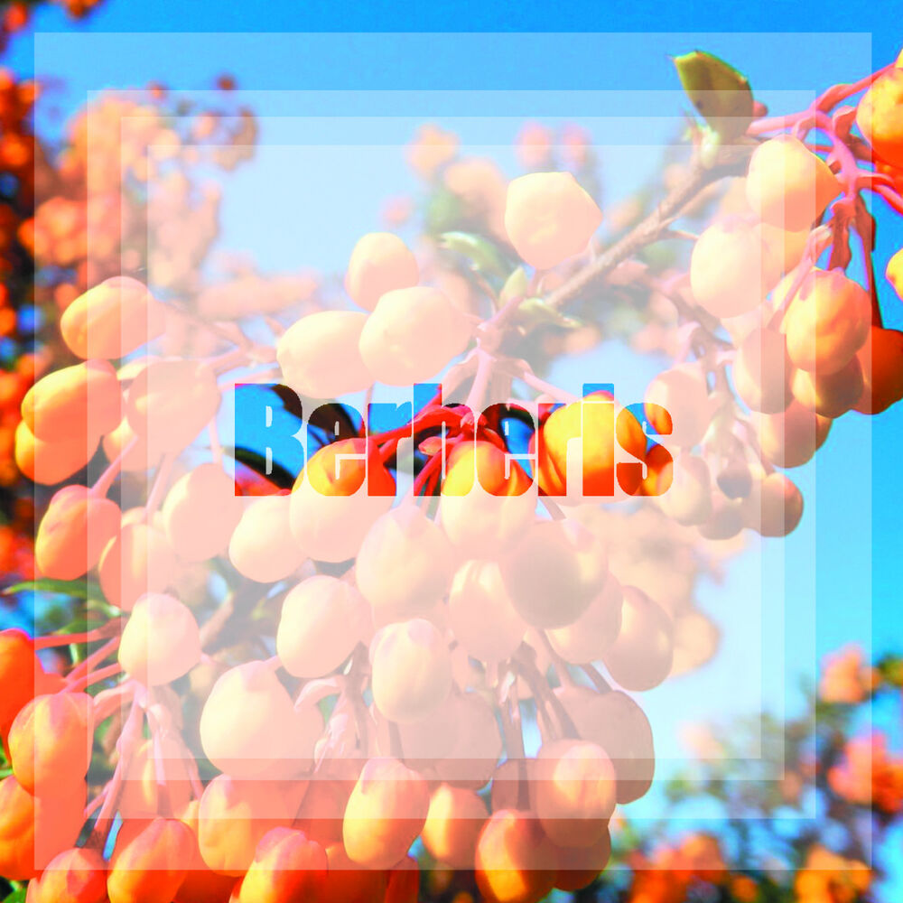 Picture of Gravitational Interaction EP