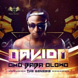 Cover of Omo Baba Olowo: The Genesis