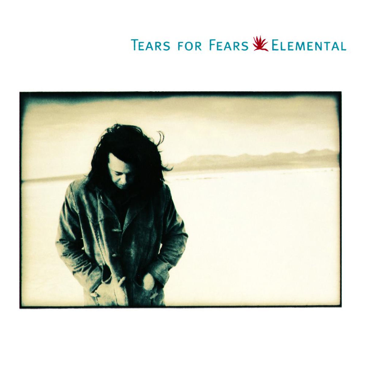 Tears For Fears - Elemental | Deezer