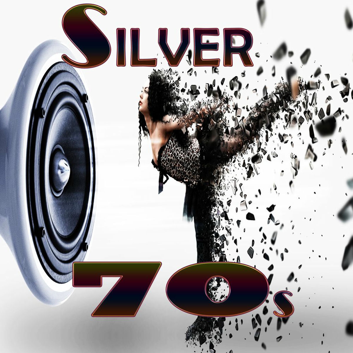 Album cover of Silver 70s (Rerecorded)