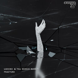 Cover of Fracture