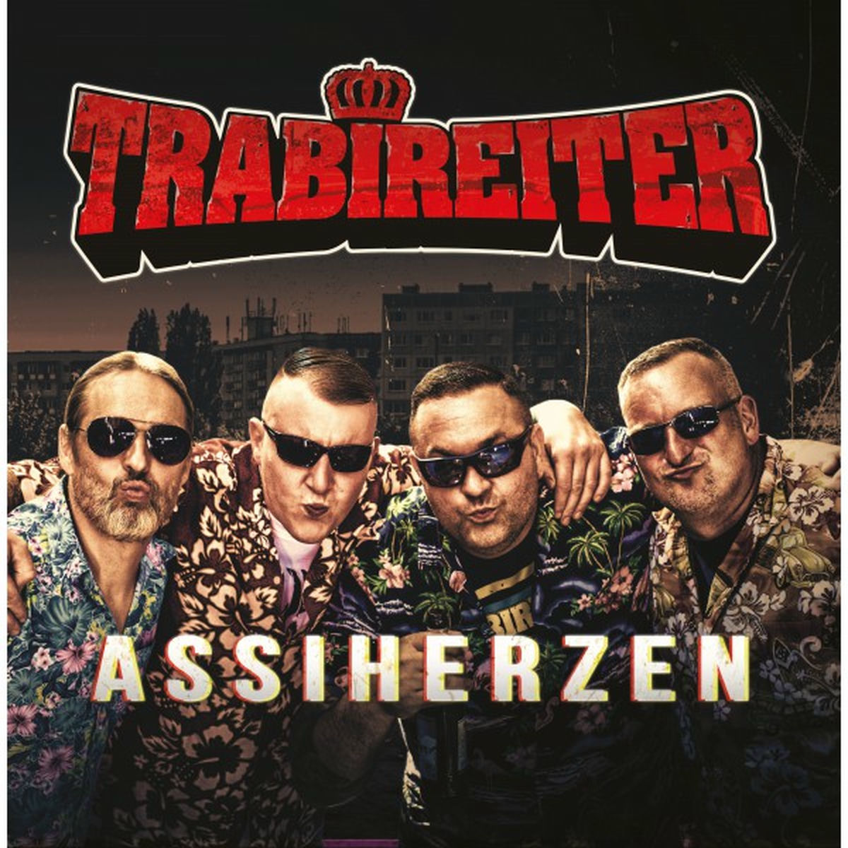 Album cover of Assiherzen