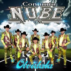 Cover of Olvidala