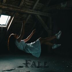 Cover of Fall