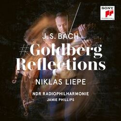 Cover of GoldbergReflections