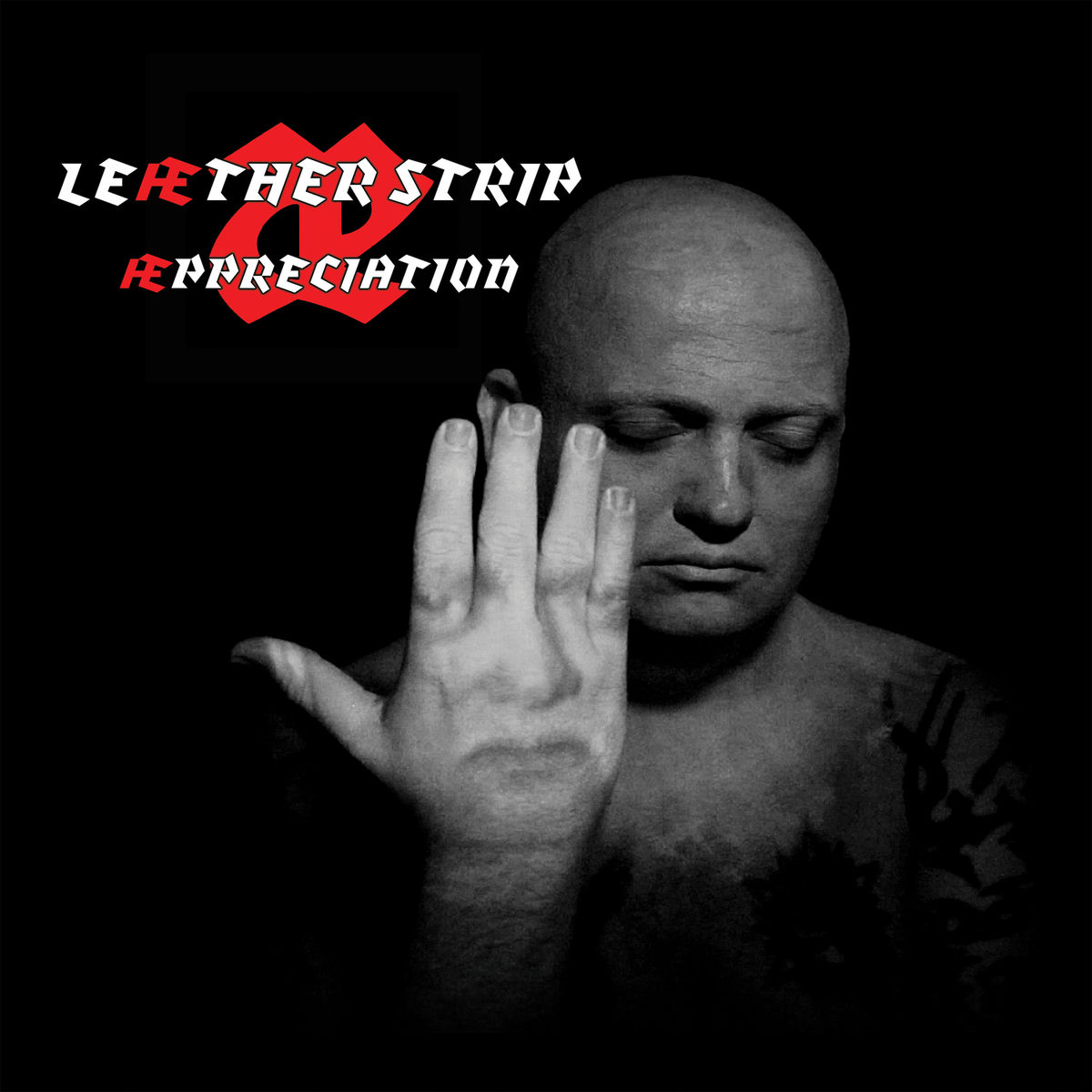 Album cover of Breaking the Law
