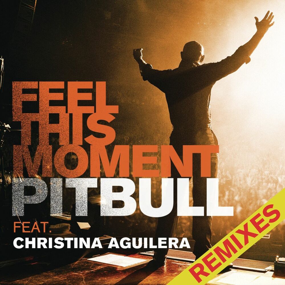 Picture of Feel This Moment Remixes (feat. Christina Aguilera)