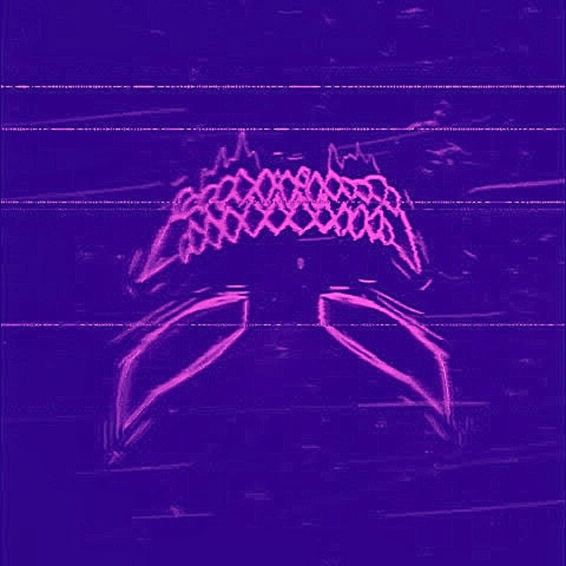 Album cover of New Phonk Order