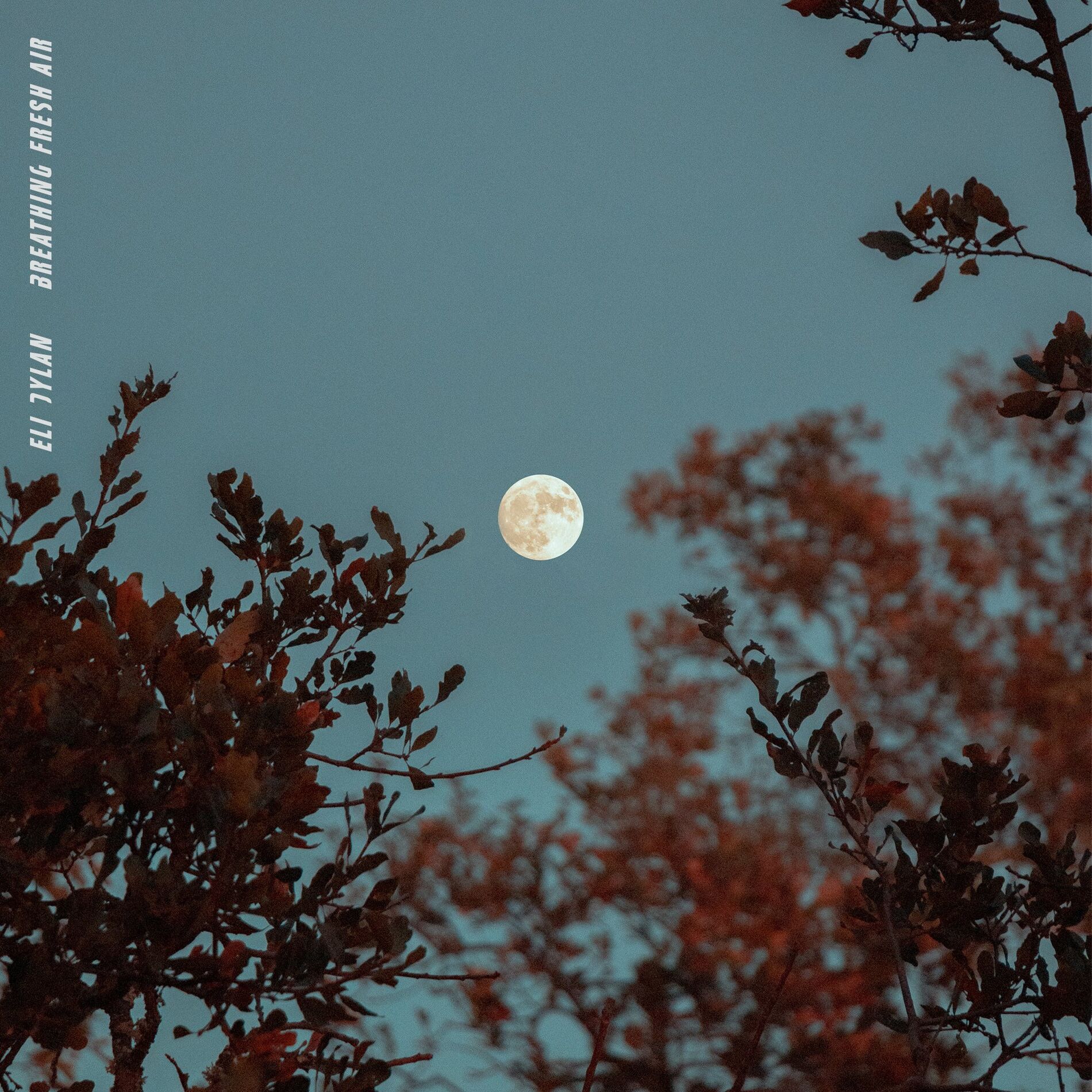 Album cover of Breathing Fresh Air