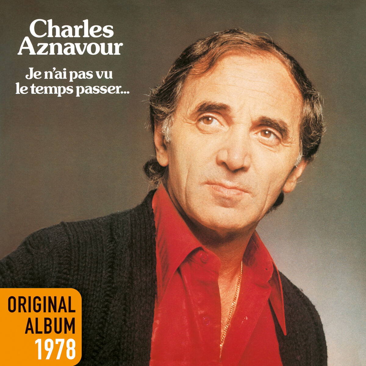 Album cover of Je n'ai pas vu le temps passer