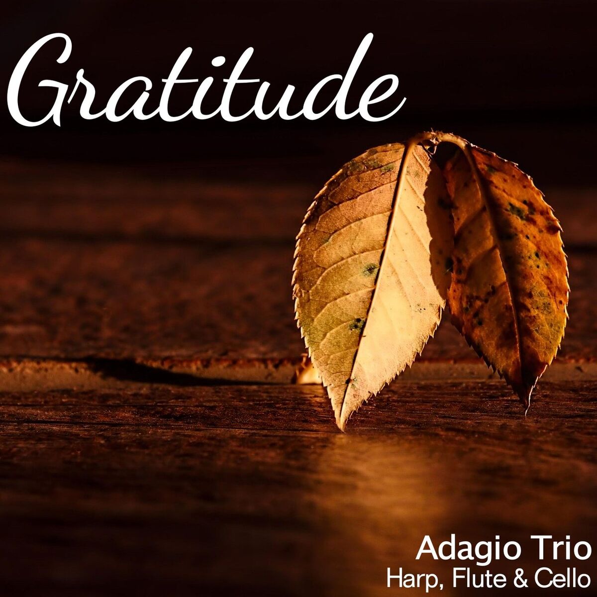 Album cover of Gratitude