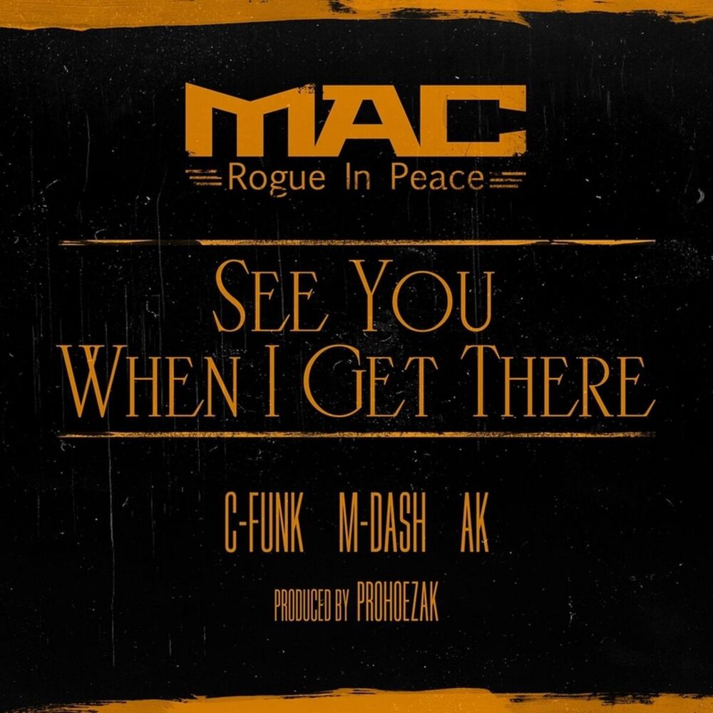 Picture of See You When I Get There
