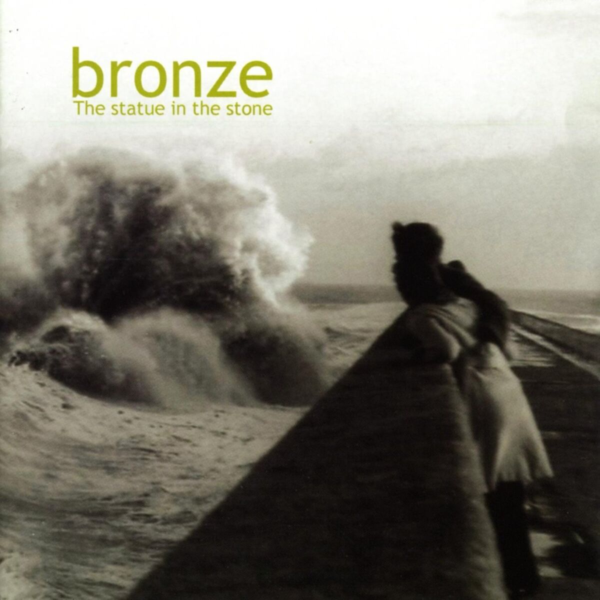 Album cover of The Statue in the Stone