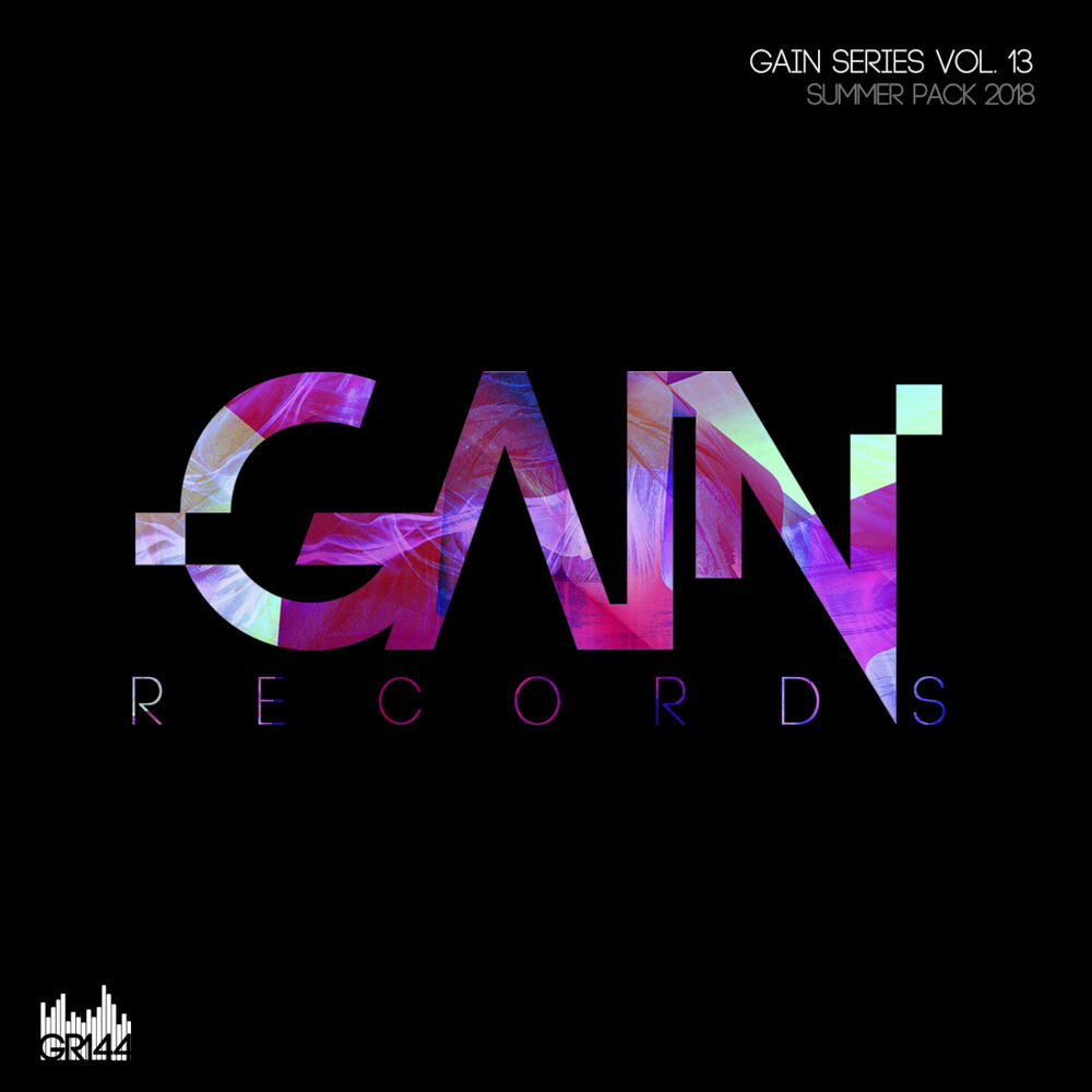 Picture of Gain Series Vol.13