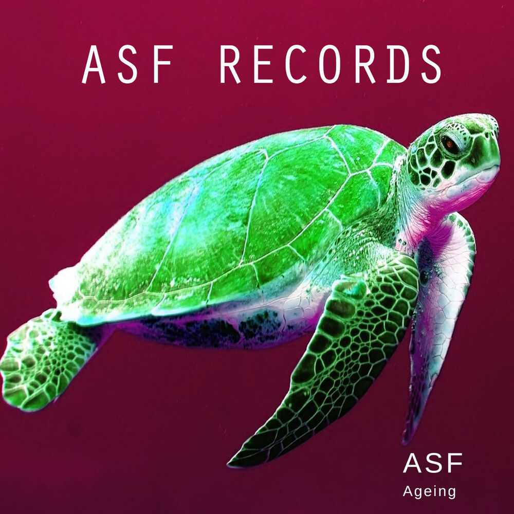 Picture of Ageing - EP