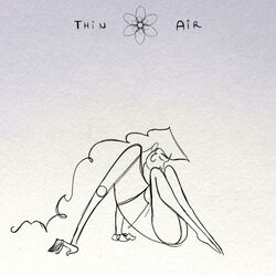 Cover of Thin Air